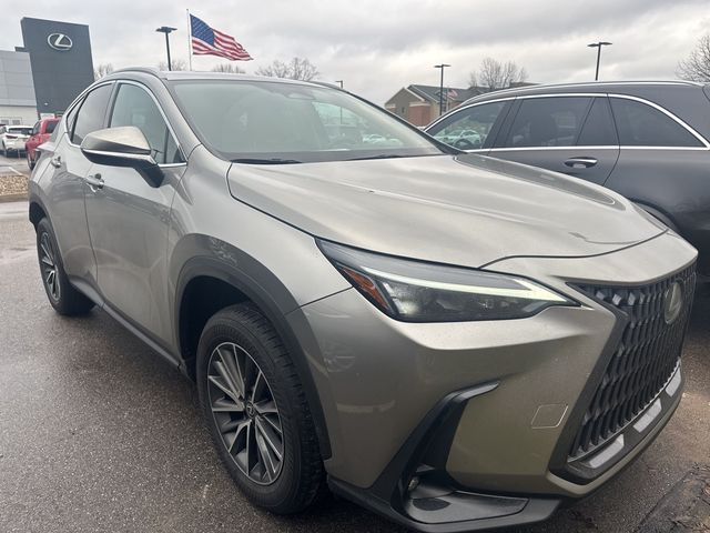 2024 Lexus NX 250