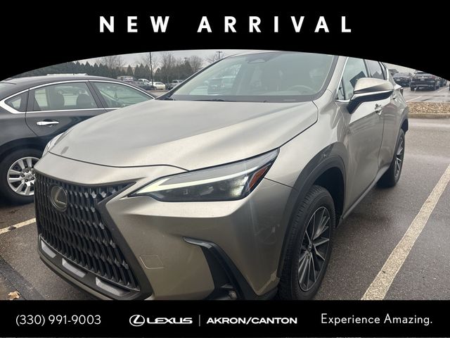 2024 Lexus NX 250