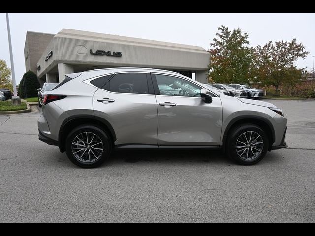 2024 Lexus NX 250