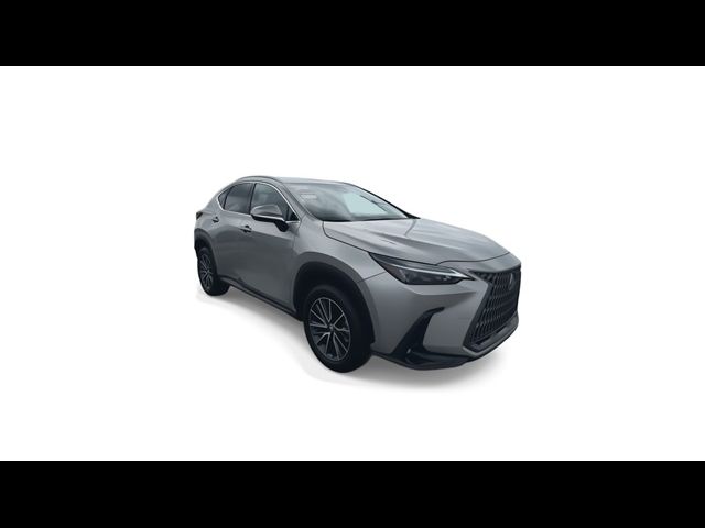 2024 Lexus NX 250