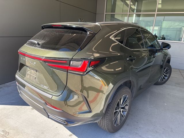 2024 Lexus NX 250