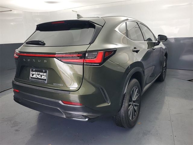 2024 Lexus NX 250