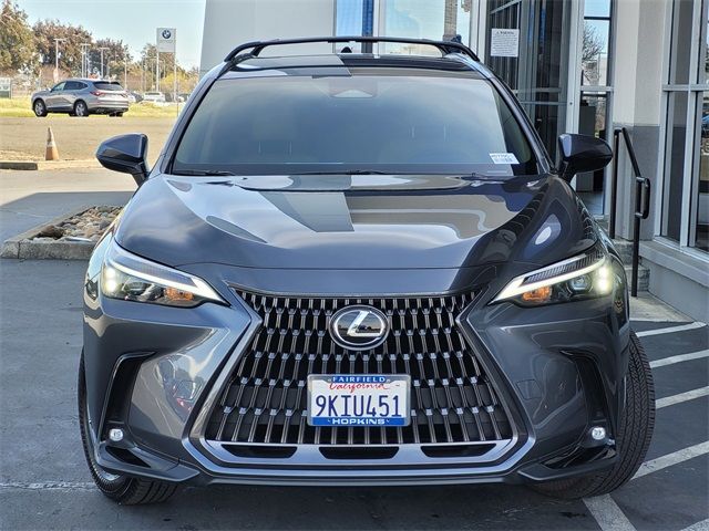 2024 Lexus NX 250