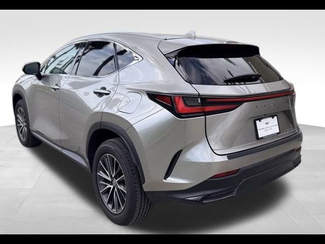 2024 Lexus NX 250