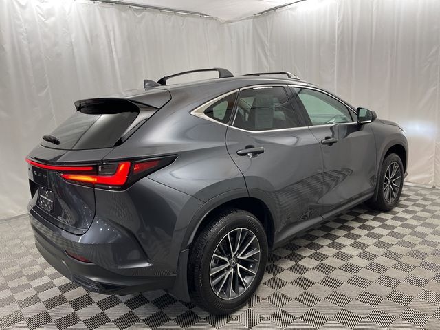 2024 Lexus NX 250