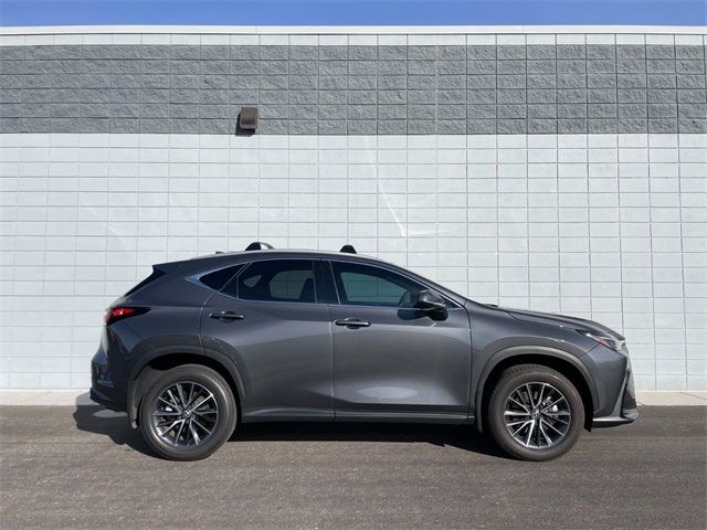 2024 Lexus NX 250