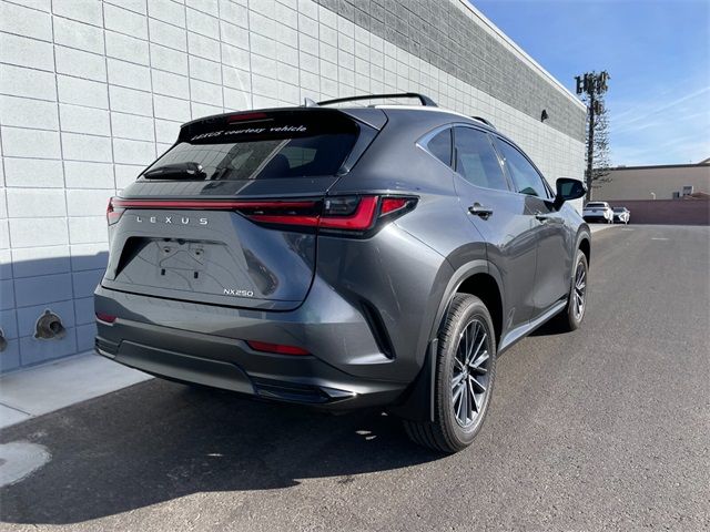 2024 Lexus NX 250