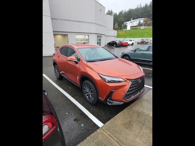 2024 Lexus NX 250