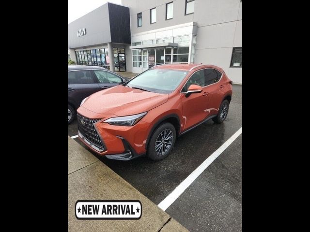 2024 Lexus NX 250