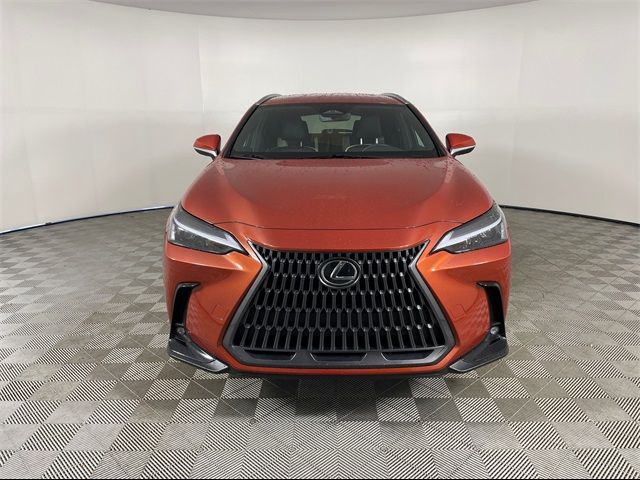 2024 Lexus NX 250