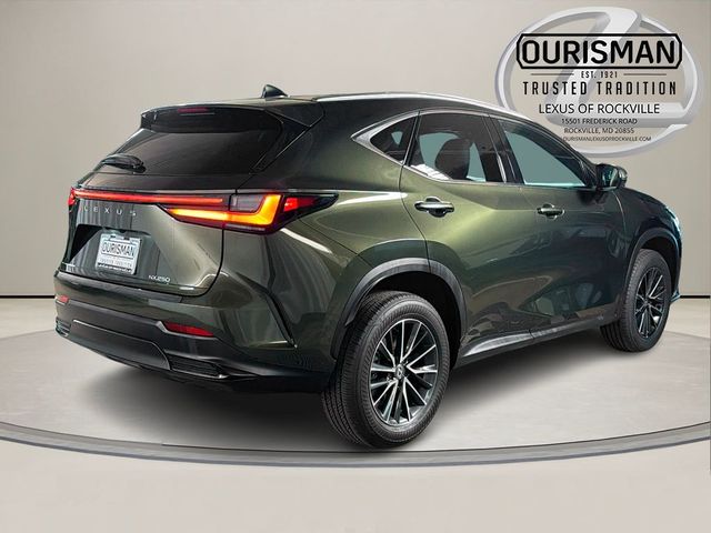 2024 Lexus NX 250