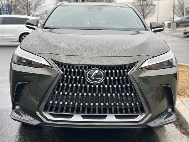 2024 Lexus NX 250