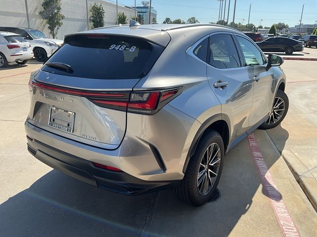 2024 Lexus NX 250