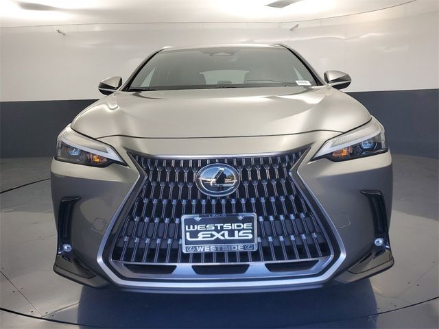 2024 Lexus NX 250