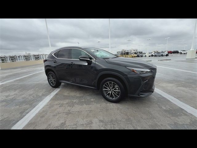 2024 Lexus NX 250