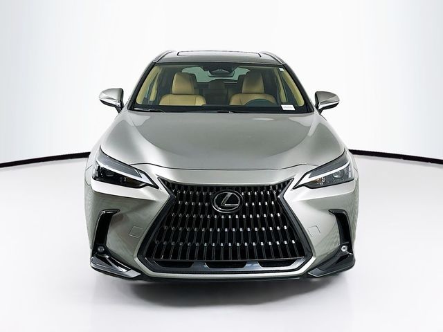 2024 Lexus NX 250