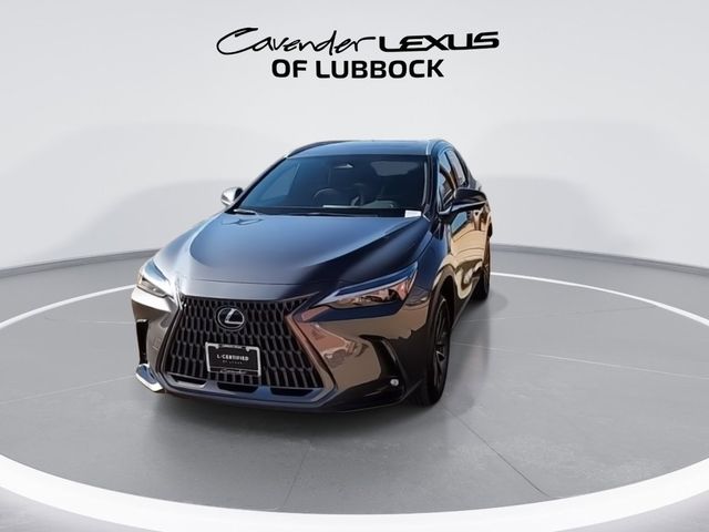 2024 Lexus NX 250