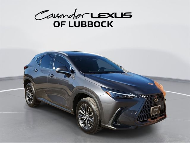 2024 Lexus NX 250