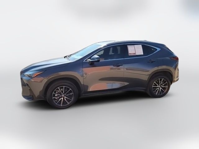 2024 Lexus NX 250