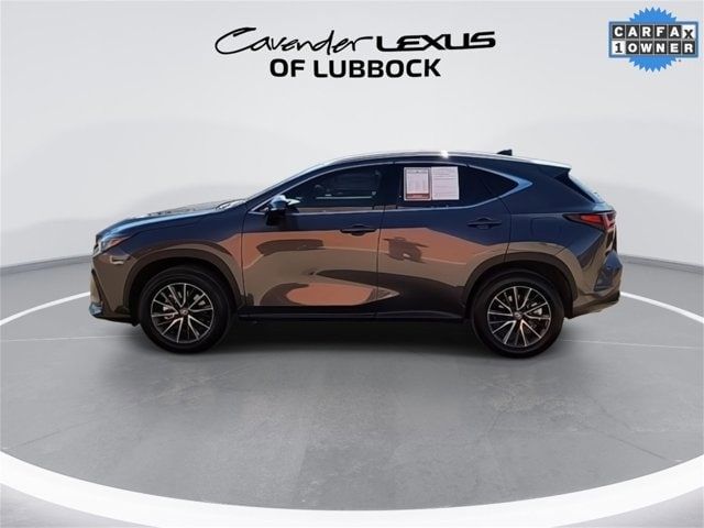 2024 Lexus NX 250