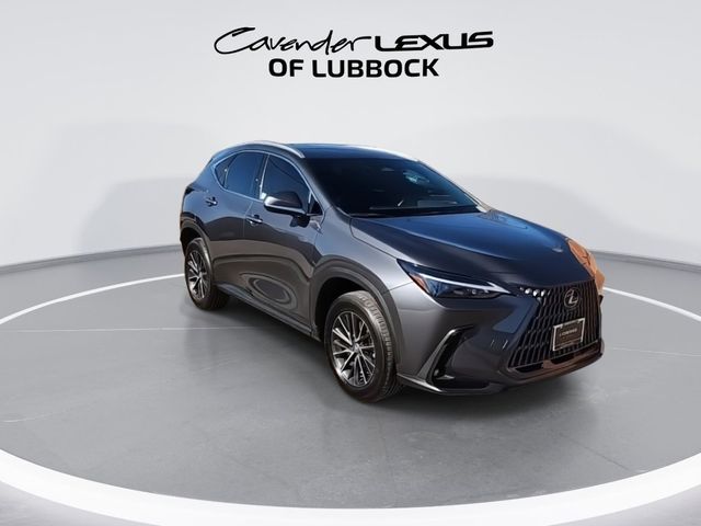 2024 Lexus NX 250