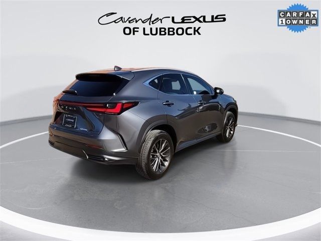 2024 Lexus NX 250