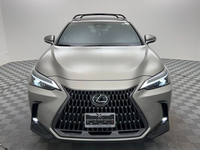 2024 Lexus NX 250