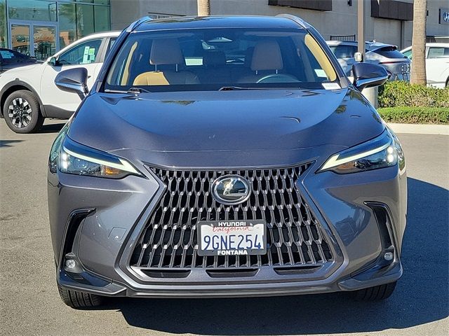 2024 Lexus NX 250