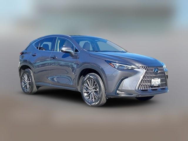 2024 Lexus NX 250