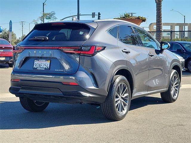 2024 Lexus NX 250