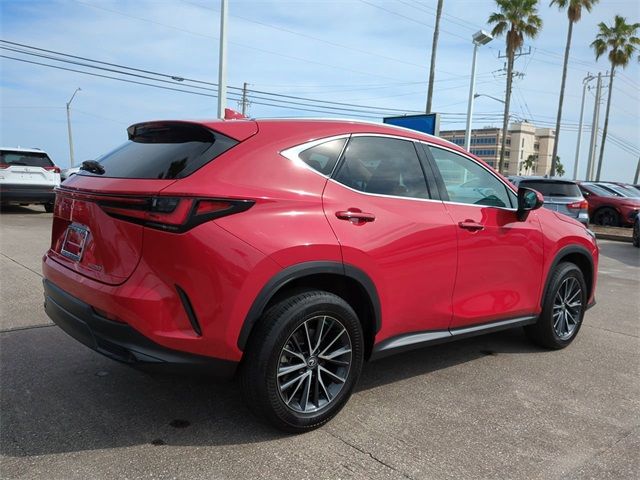 2024 Lexus NX 250