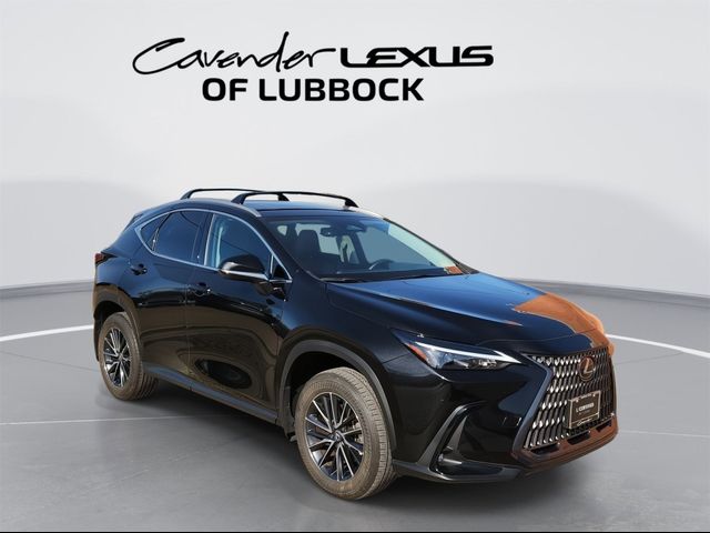 2024 Lexus NX 250