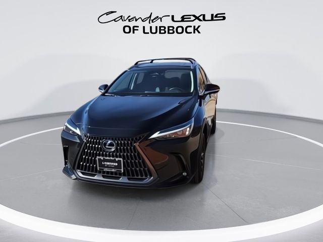 2024 Lexus NX 250