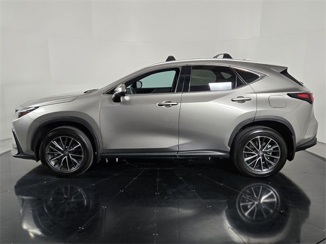 2024 Lexus NX 250