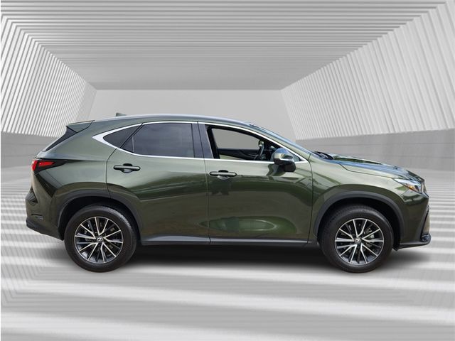 2024 Lexus NX 250