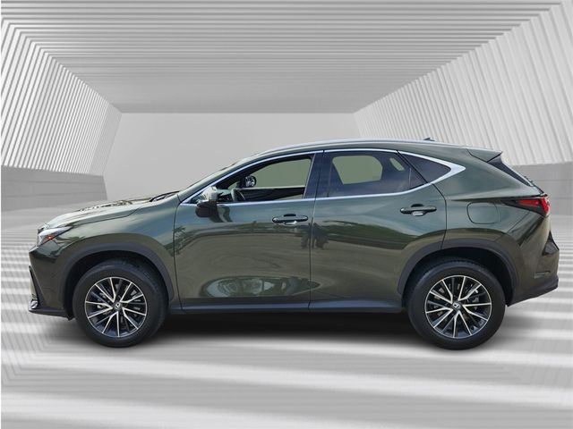 2024 Lexus NX 250