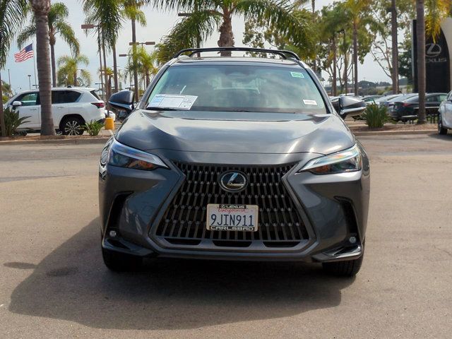 2024 Lexus NX 250