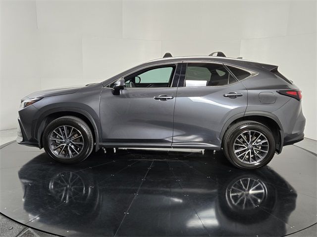 2024 Lexus NX 250