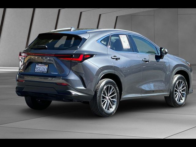 2024 Lexus NX 250