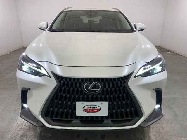 2024 Lexus NX 250