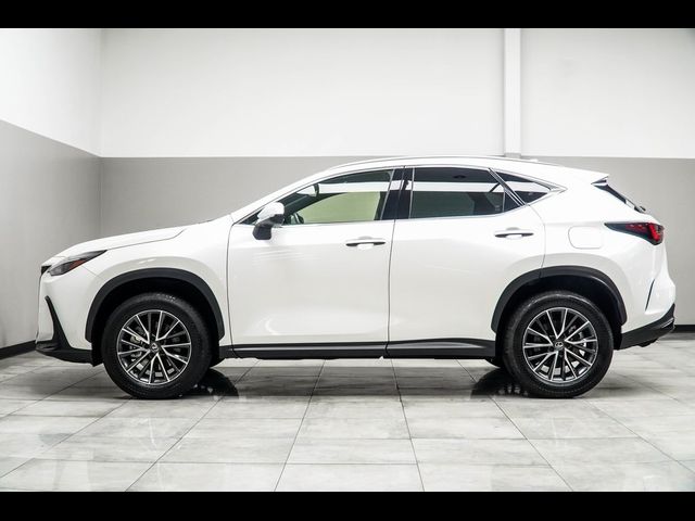 2024 Lexus NX 250