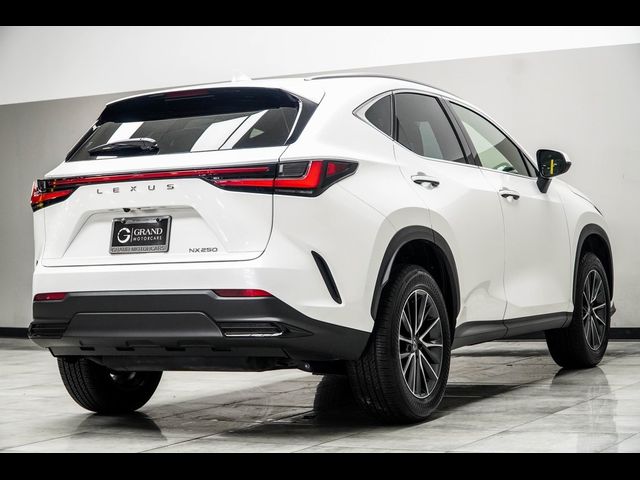 2024 Lexus NX 250