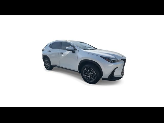 2024 Lexus NX 250