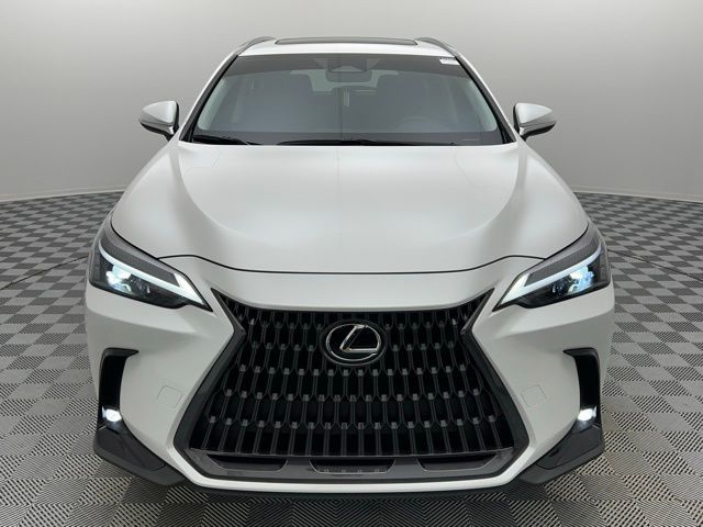 2024 Lexus NX 250