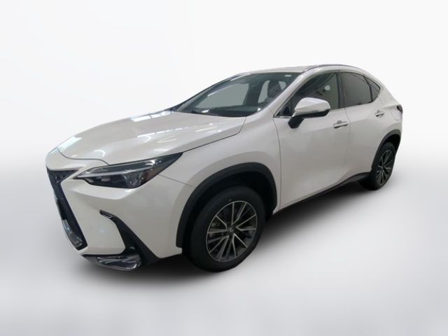 2024 Lexus NX 250