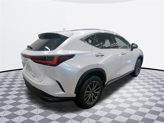 2024 Lexus NX 250