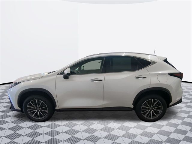 2024 Lexus NX 250