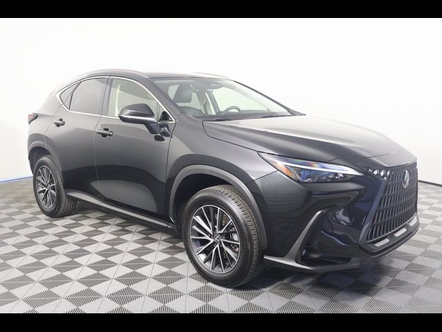 2024 Lexus NX 250