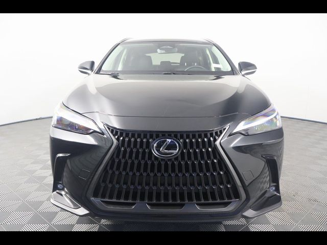 2024 Lexus NX 250