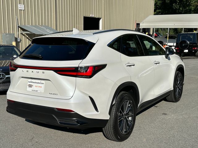 2024 Lexus NX 250